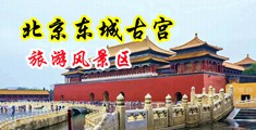 小雨是个大胸骚空姐中国北京-东城古宫旅游风景区